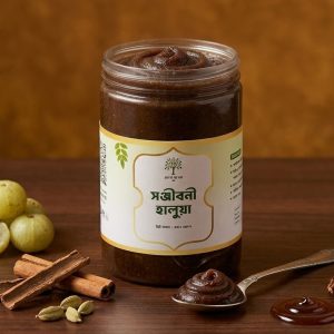 সঞ্জীবনি হালুয়া হাফ কেজি
